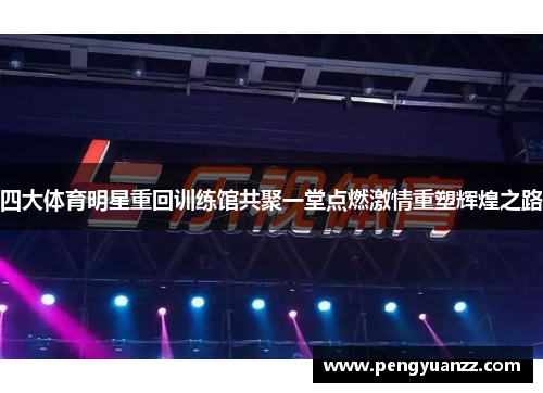四大体育明星重回训练馆共聚一堂点燃激情重塑辉煌之路