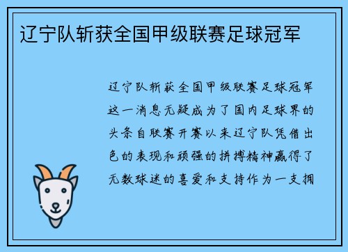 辽宁队斩获全国甲级联赛足球冠军