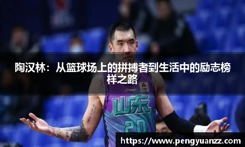 陶汉林：从篮球场上的拼搏者到生活中的励志榜样之路